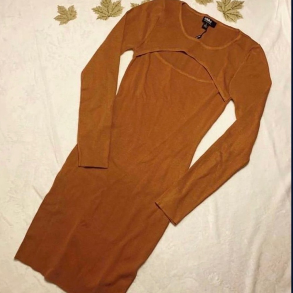 Fall Dress